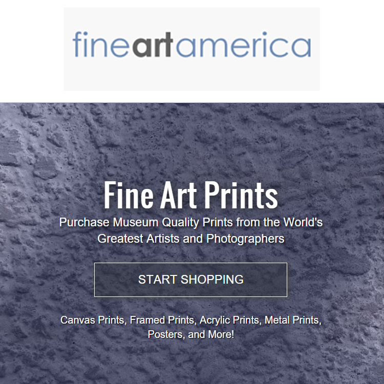 «FineArtAmerica» - on-line gallery