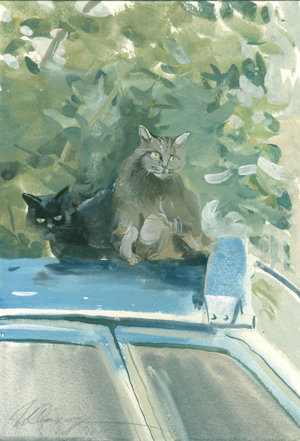 Кошки на крыше машины